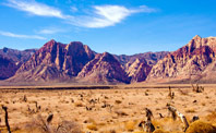 Gobi Desert