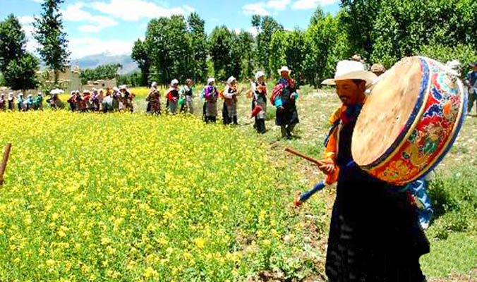 Tibetan Ongkor Festival