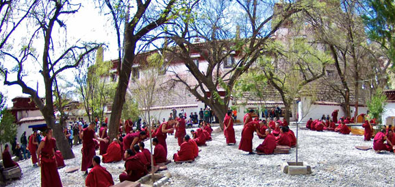 8 Days Shanghai Lhasa Tour by Train