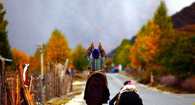 Tour Tibet in Golden Autumn